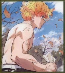 鬼滅の刃 ufotable webshopくじ アクリル色紙 B20 我妻善逸 - メルカリ