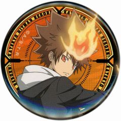 家庭教師ヒットマンREBORN 沢田綱吉 XANXUS 10年後 缶バッジ 特典