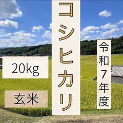 令和7年山口県産 コシヒカリ玄米 20キロ - メルカリ