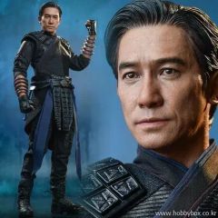 美品カスタマイズホットトイズ ウェンウー 『シャン・チー テン