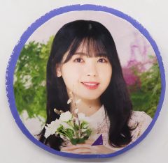 筒井あやめ　個別クッション　乃木坂46 Amazon.co.jp: 乃木坂46 個別クッション 筒井あやめ luckybag 限定品