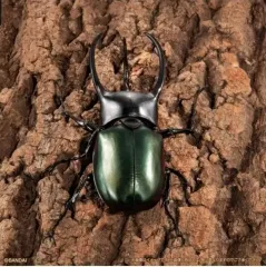 バンダイ いきもの大図鑑アドバンス スマトラ カブトムシ カブトムシ ガチャ