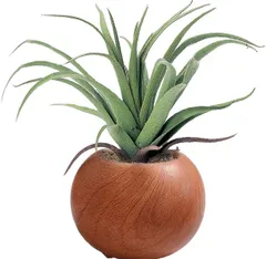【数量限定】光触媒 かわいい 観葉植物 エアプランツ Φ16×H15cm(ポットの直径はΦ7cm) 造花 ナチュラル インテリアグリーン 木目ポット 419495 ケーアイジャパン ブラウンのサムネイル