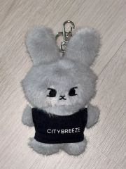 新品】NCT127 ドヨン CITYBREEZE キーリング グレーうさぎ - メルカリ