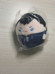 1024【新品】ハイキュー 日向 翔陽 影山 飛雄 及川 徹 原作 大人 