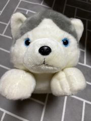 REGALO シベリアンハスキー ぬいぐるみ 2匹セット - メルカリ