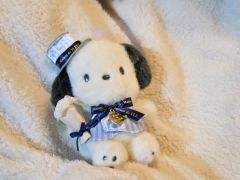 昭和レトロ ヴィンテージ サンアロー 夢の回転木馬 サンディ M