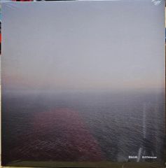 Ambient Waves From Niigata LP レコード レア！ - メルカリ