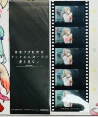 新品 青ブタ展 複製原画 コレクションアルバム セット付き 青春ブタ