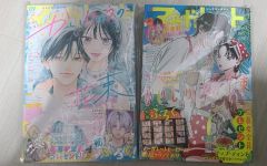 全初刊・初版】グラスハート 全11巻 若木未生 コバルト文庫 幻冬舎