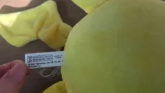 ポケットモンスター ピカチュウ ぬいぐるみ 正規品