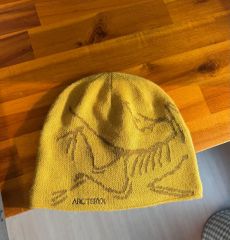 国内正規品】アークテリクス バードヘッドトーク Moondrop/Mallow