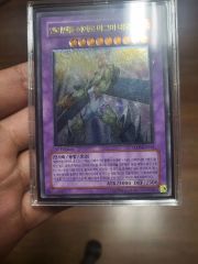 CF』Korshem, Crossroad of Elements PSA10 - メルカリ
