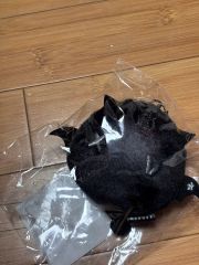 ズラー 森のおくりもの展 ぬいぐるみ GLAY TERU ZURA 新品 - メルカリ