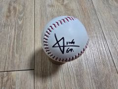 阪神タイガース 石井大智 直筆サイン 春季キャンプ ボール - メルカリ
