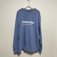 3616M【希少・パタゴニア風】ヒステリックグラマー☆ヒスガール スウェット 希少 ヒステリックグラマー スウェット 長袖 ヒスガール HYS 袖ロゴ L