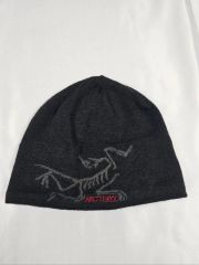 希少 Arc'teryx ビーニー y2k ギア テック - メルカリ