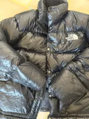 THE NORTH FACE ザノースフェイス ダウン (シエラ rds ダウン アウター ジャケット)