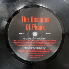 米 US盤 DISCIPLES OF PHUNK/I WANT IT RIGHT / TOO FAR GONE/CATCH 22 RECORDINGS CATCH24 12