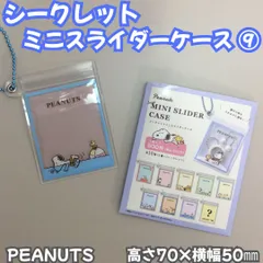 e039【新品・未使用】Snoopy シークレット ミニスライダーケース⑨ ピーナッツ スヌーピー ウッドストック 夏 海 ビーチボール 7cm×5cm キーホルダー ボールチェーン 透明 クリア 中が見える アクセサリー 常備薬 小物 整理 チャック付き袋