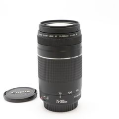 Canon EF-S 18-55mm & EF 75-300mm レンズセット - メルカリ