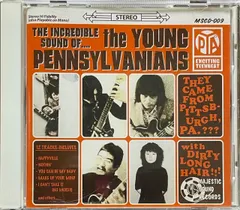 ガレージパンク/ヤングペンシルバニアンズ/Young Pennsylvanians/THE INCREDIBLE SOUND OF