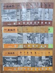 光文社文庫版「江戸川乱歩全集 全30巻」初版帯付き - メルカリ