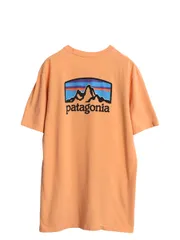 【お得なクーポン配布中!】 パタゴニア 両面 プリント 半袖 Tシャツ メンズ L / 19年製 アウトドア バックプリント クルーネック カットソー グラフィック イラスト 