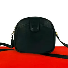 極 美品 Burberrys バーバリーズ ヴィンテージ シャドーホース ロゴ ノバチェック 柄 レザー ショルダーバッグ ポシェット ブラック 40575