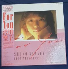 SYOKO（G-SCHMITT）ソロアルバム「未来の記憶 SOIL」レコード - メルカリ