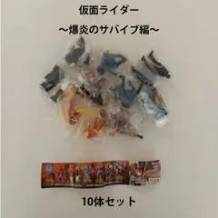 HGシリーズ ガシャポン 仮面ライダー 龍騎 10体セット  #m00307