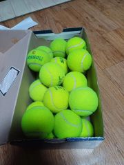 ソフトテニスボール 練習試合球 45球 1日使用 - メルカリ