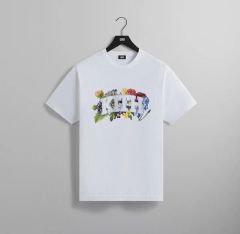 Archive アーカイブ Y2K 】フルーツ アメリカ製ソニックTシャツ - メルカリ