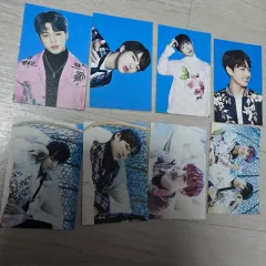 BTS 2017 THE WINGS TOUR ミニトレカ Ver. 1