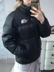 THE NORTH FACE ザノースフェイス サミットシリーズ グースダウン 850 LTD ダウン y2k