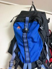 非売品！バレンティーノロッシ直筆サイン入りリュック。 - メルカリ