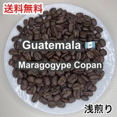 【受注焙煎・自家焙煎コーヒー豆】Guatemala Maragogype Copan（ グアテマラ マラゴジッペ コバン）浅煎り 300g 【爽やかな酸味と深いコク】