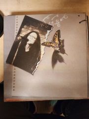 細野晴臣 高橋幸宏 サイン入りLP 2枚まとめて - メルカリ