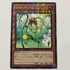 2026年最新】ナチュル・ローズウィップの人気アイテム - メルカリ