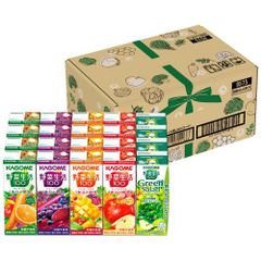 HEALSLAB コンブチャ 8箱セット - メルカリ