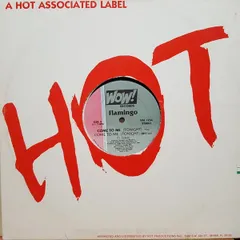 12” Flamingo Come To Me (Tonight) HAL1254 Wow! Records /00250