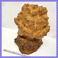 高級 天然木 カバ瘤（コブ）置物 オブジェ 床の間飾り 希少 高級 天然木 カバ瘤（コブ）置物 オブジェ 床の間飾り 希少 - メルカリ