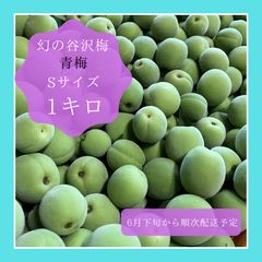 和歌山県産 家庭用❗完熟南高梅‼️L～Mサイズ混合‼️2kg みかん