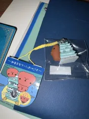 カピバラさん 地域 キーチェーン フィギュア キーホルダー 未開封
