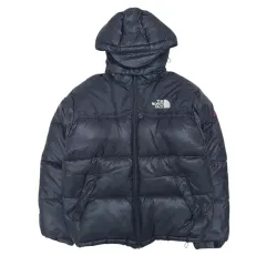 THE NORTH FACE ザノースフェイス サミットシリーズ 900LTD ダウン ジャケット