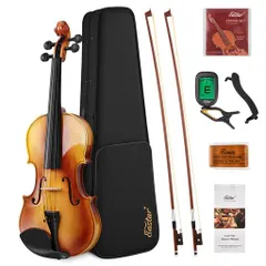 2026年最新】Eastar バイオリンの人気アイテム - メルカリ