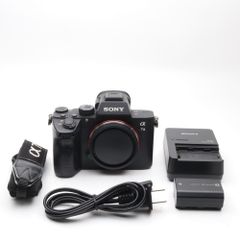 SONY ILCE-9 〆9ボディ純正ACアダプターバッテリー(動作品)(良品) SONY ILCE-9 〆9ボディ純正ACアダプターバッテリー(動作品)(良品