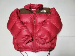 THE NORTH FACE ザノースフェイス 700フィル Nuptse(ヌプシ) LTD アルファジャケット ダウン 90 ポール1234