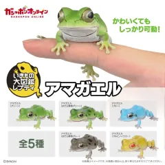 いきもの大図鑑 렙티 カエル 5種 セットのサムネイル