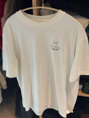 超希少】パレス アークテリクス コラボ Tシャツ 白 PALACE Lサイズ 